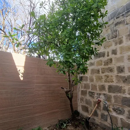 Ancient Maltese House With Modern Interior 3 Min Away From Airport Tal-pinu Guest house *