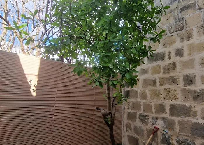 Ancient Maltese House With Modern Interior 3 Min Away From Airport Tal-pinu Πανσιόν *